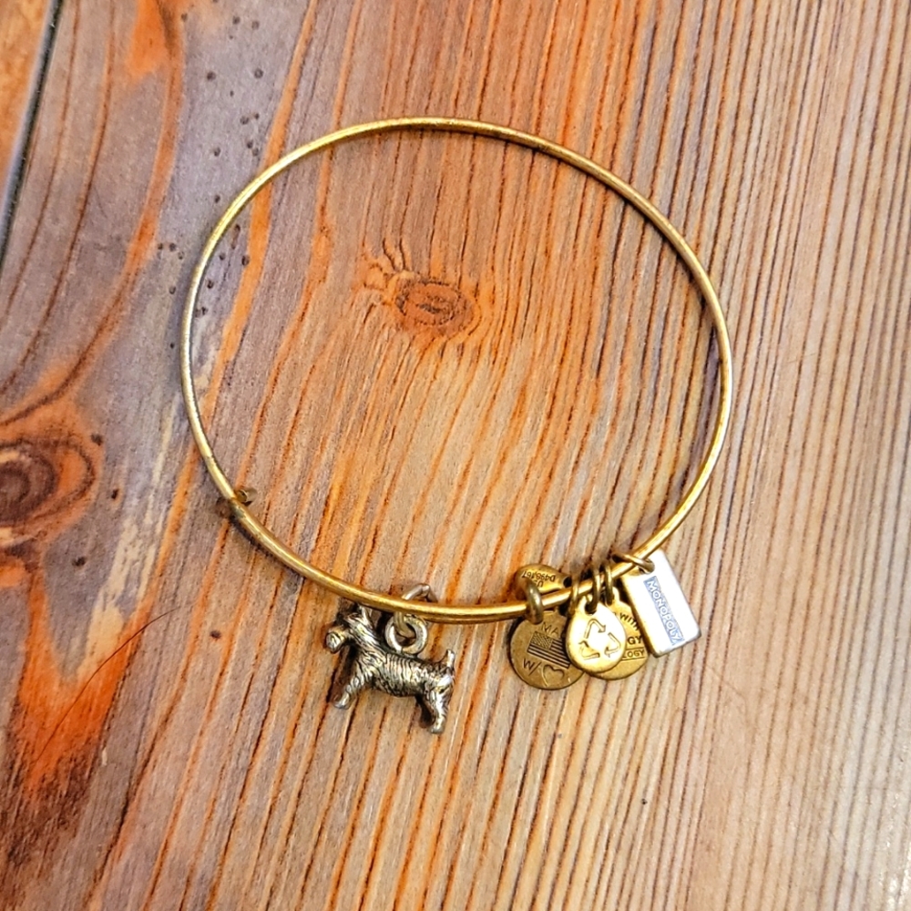Alex and Ani Monopoly Bracelet